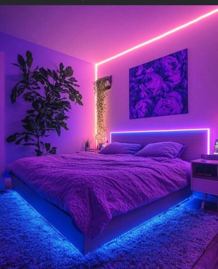 Kit RUBAN LED Wifi RGBIC+CCT  Light Strip  5 Mètres.